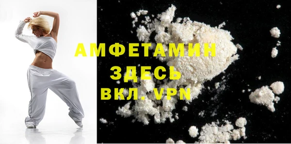 мдпв Вязьма