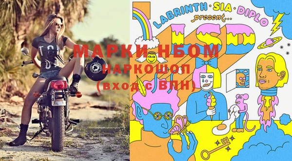 мдпв Вязьма
