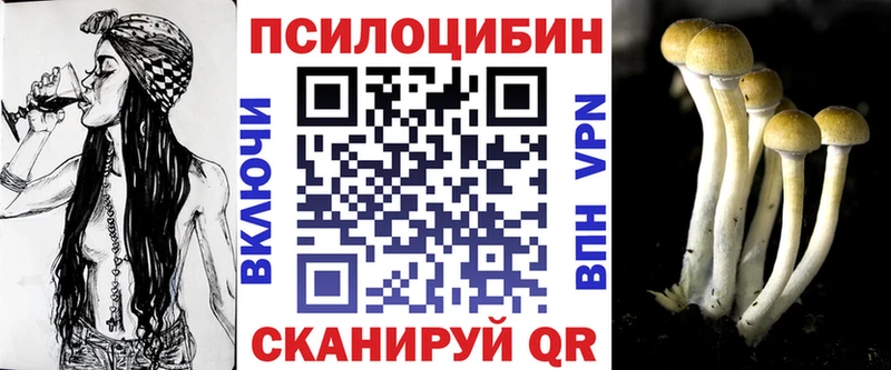Псилоцибиновые грибы GOLDEN TEACHER  Купить где  Электросталь 